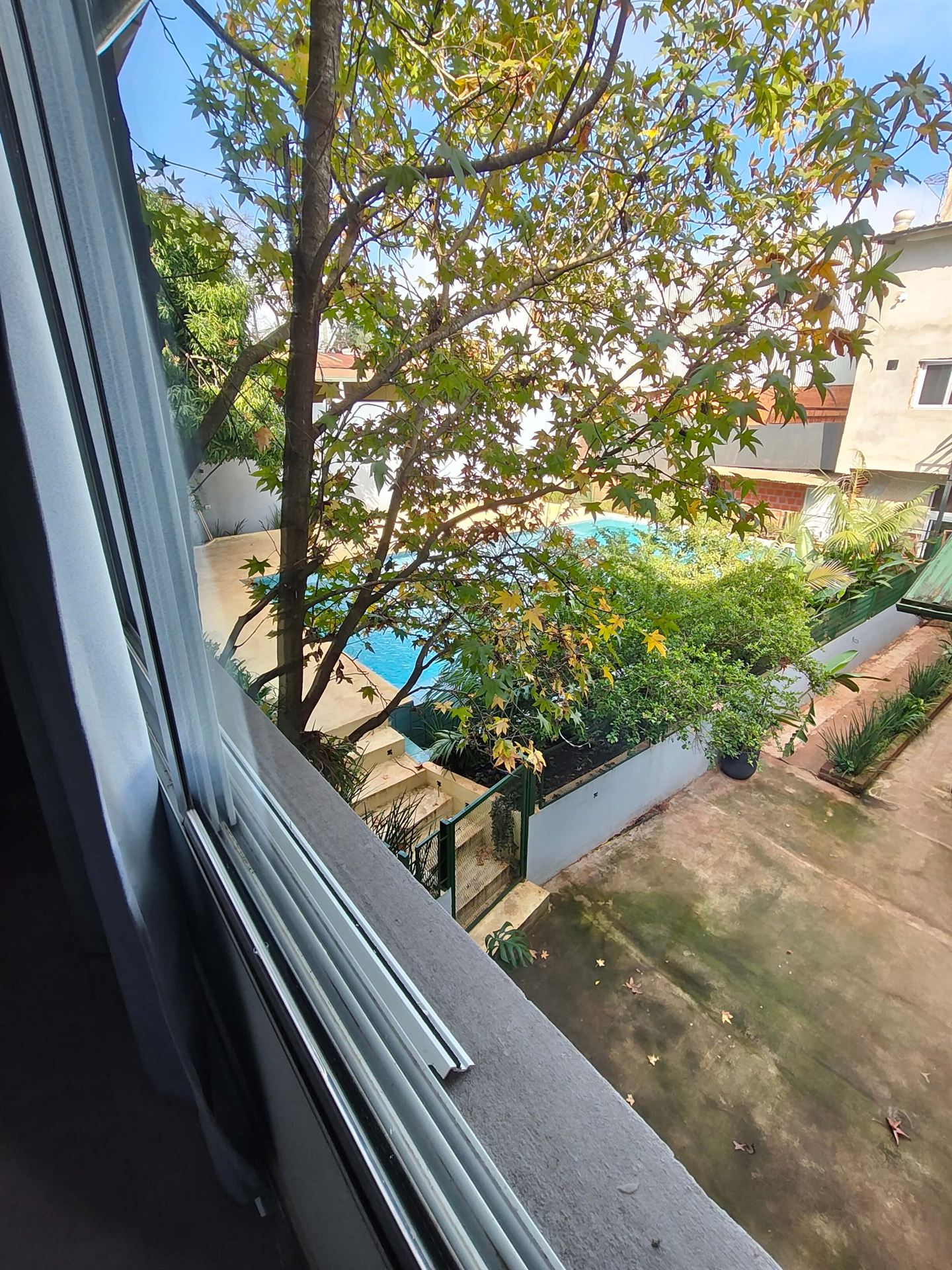 Vista a la pileta desde la ventana